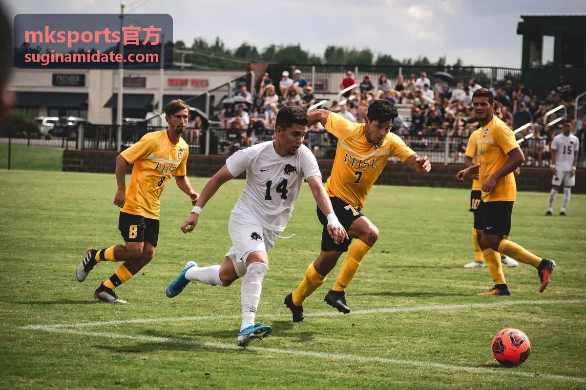 mksports官方首页最新发布区域阅读示意