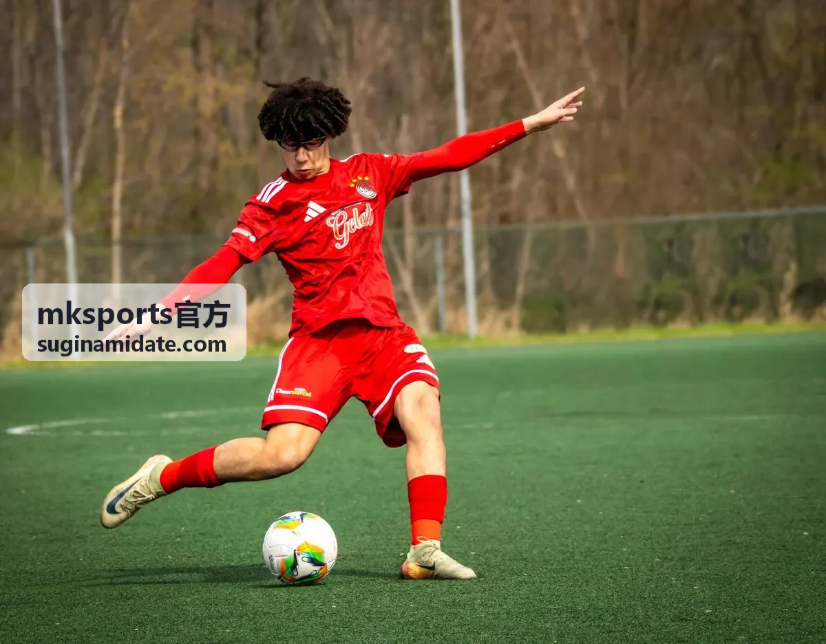 mksports官方 体育运动规则知识延伸图